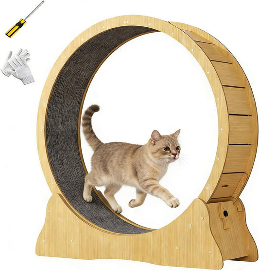 Roue d'exercice pour chat – structure en bois, fonctionnement silencieux